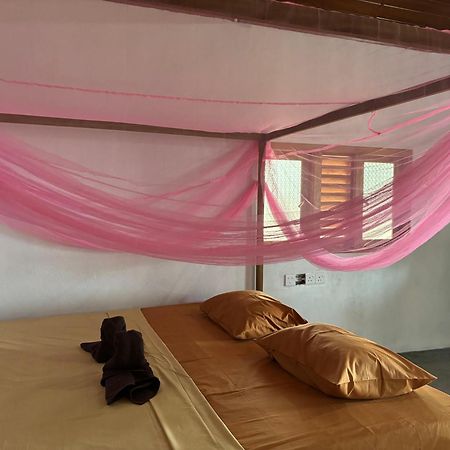 Peanut Farm Surf And Wild Resort - Arugambay Аругам Бей Екстериор снимка