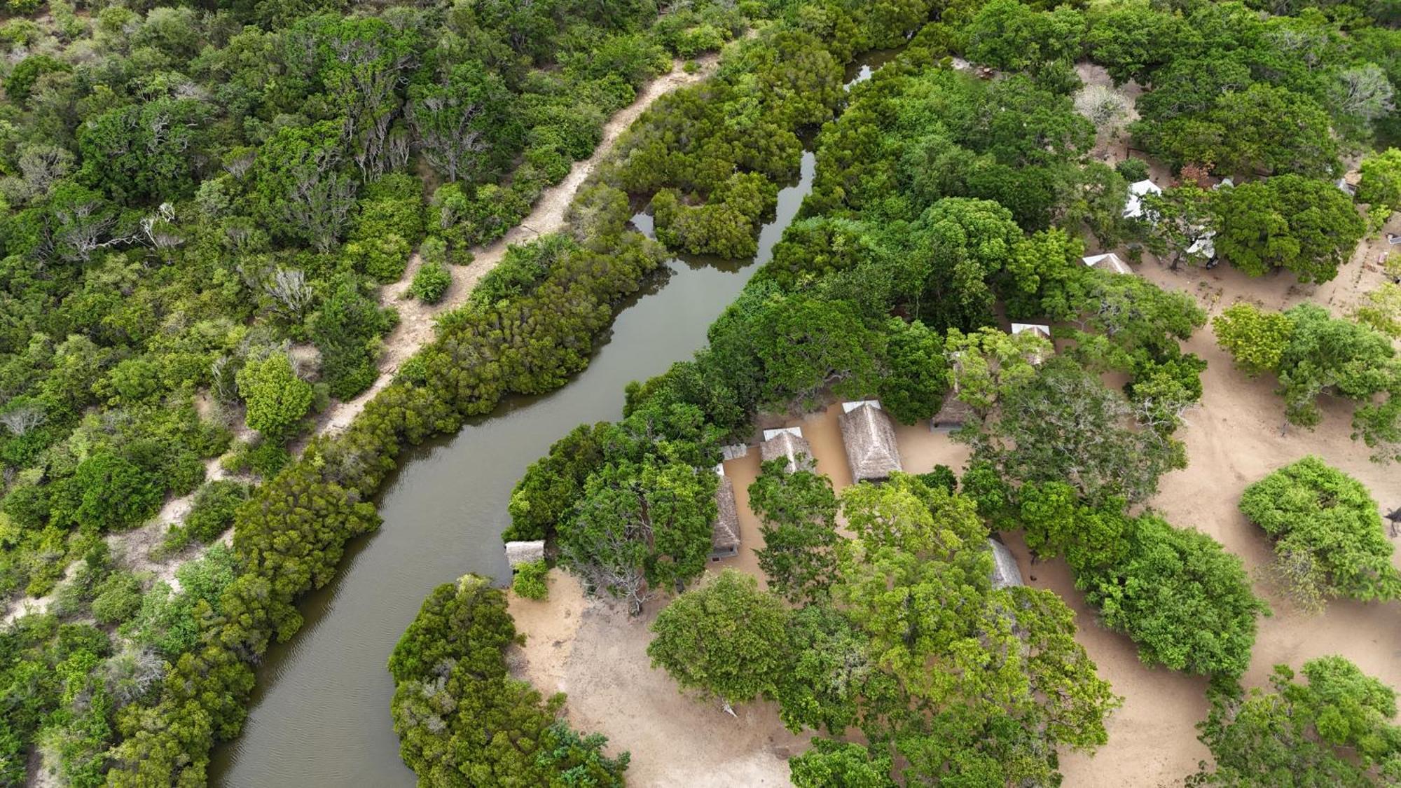 Peanut Farm Surf And Wild Resort - Arugambay Аругам Бей Екстериор снимка