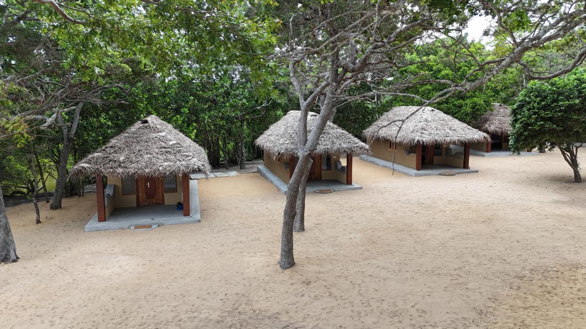 Peanut Farm Surf And Wild Resort - Arugambay Аругам Бей Екстериор снимка