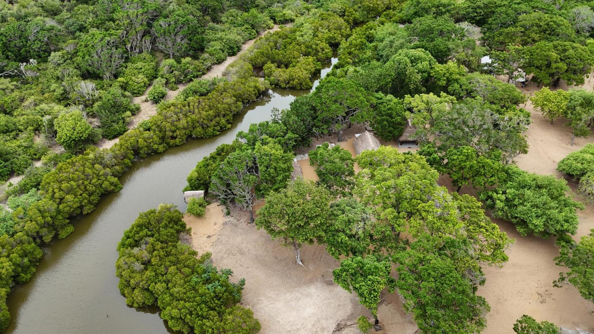 Peanut Farm Surf And Wild Resort - Arugambay Аругам Бей Екстериор снимка