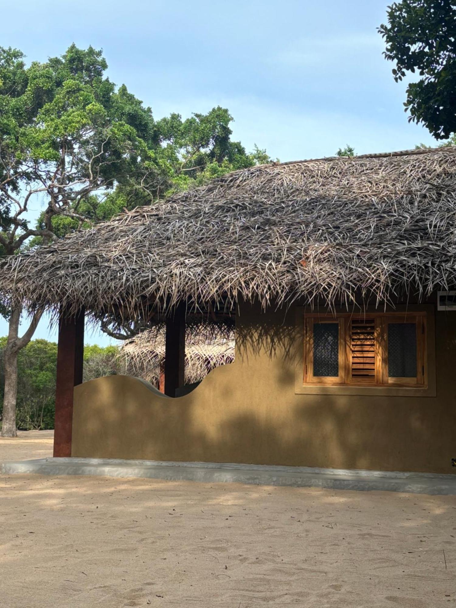Peanut Farm Surf And Wild Resort - Arugambay Аругам Бей Екстериор снимка
